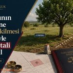 Başkasının arazisine ağaç dikilmesi nedeniyle tapu iptali ve tescil hukuk rehberi